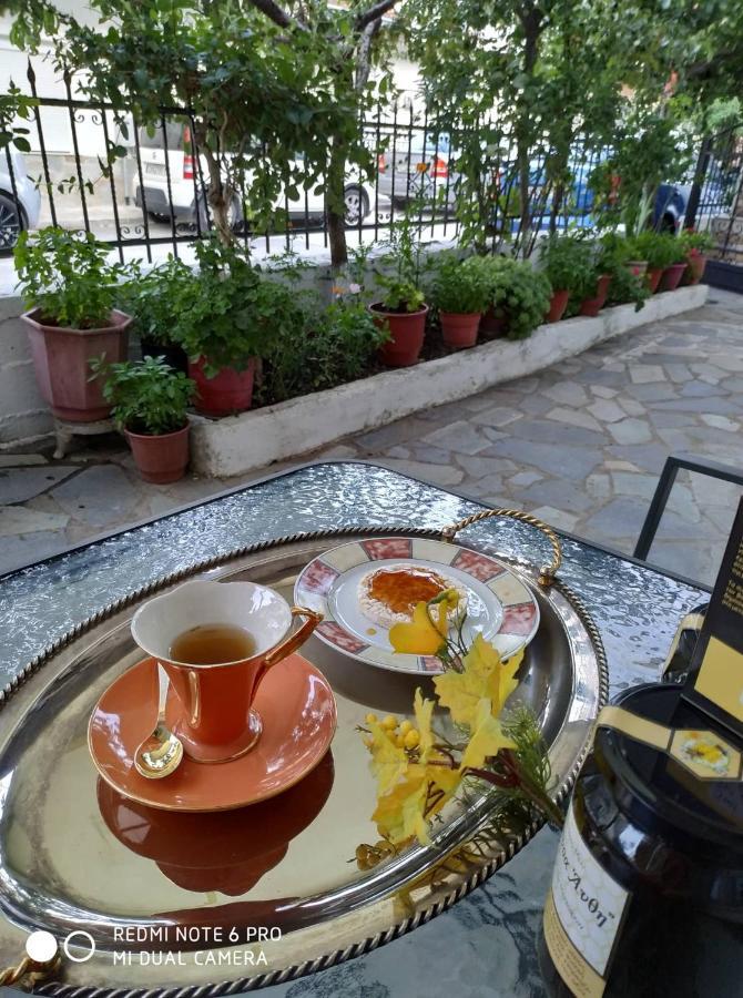Chrysanty'S Tea House Apartment Kalampáka Luaran gambar